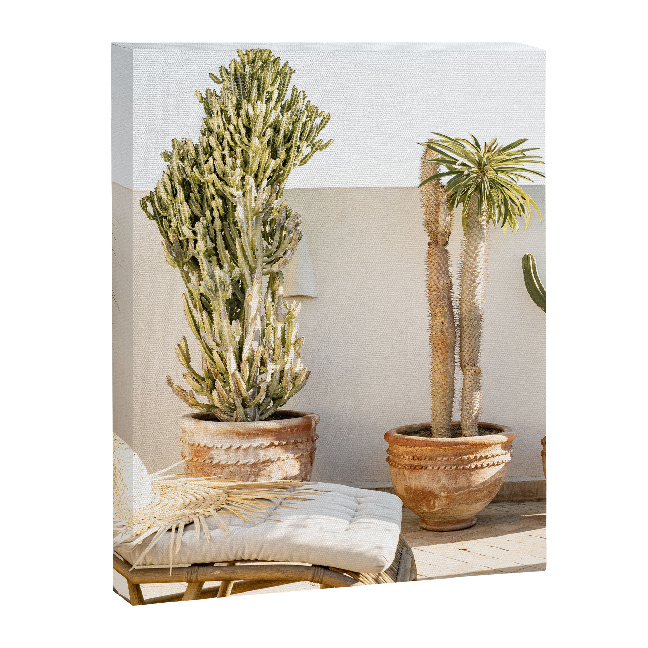 Rooftop Cacti Canvas Print Gallery Image 6