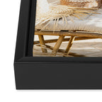 Rooftop Cacti Framed Canvas Print Gallery Image 3