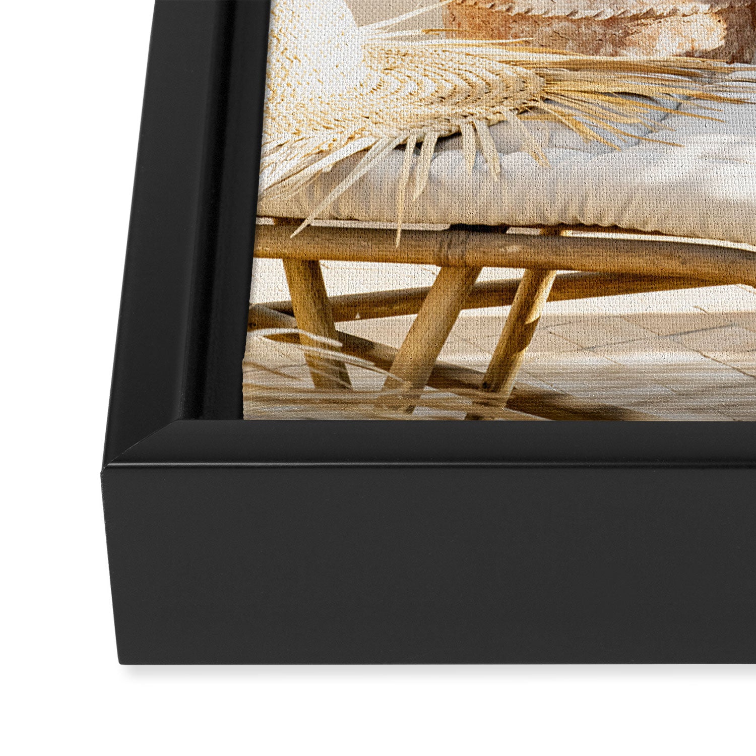 Rooftop Cacti Framed Canvas Print Gallery Image 3
