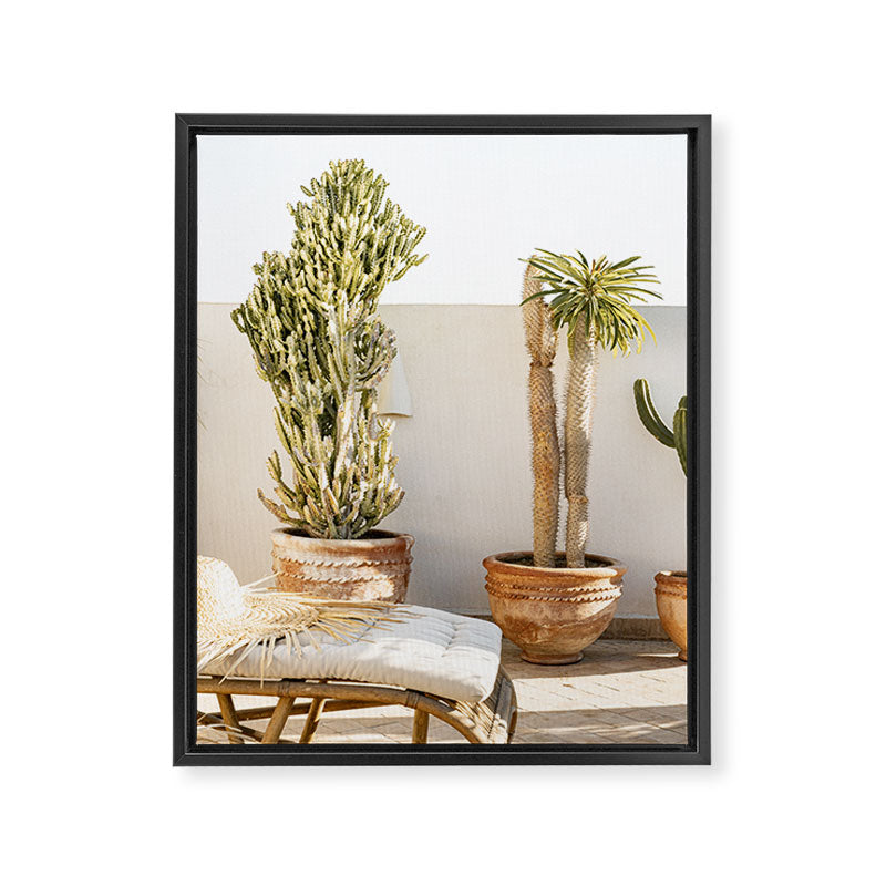 Rooftop Cacti Framed Canvas Print Gallery Image 6