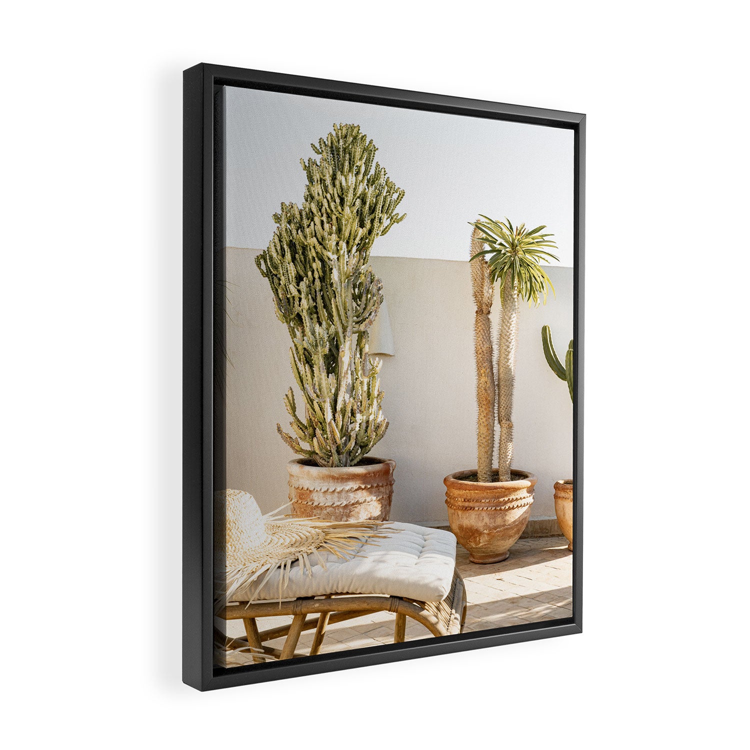 Rooftop Cacti Framed Canvas Print Gallery Image 2