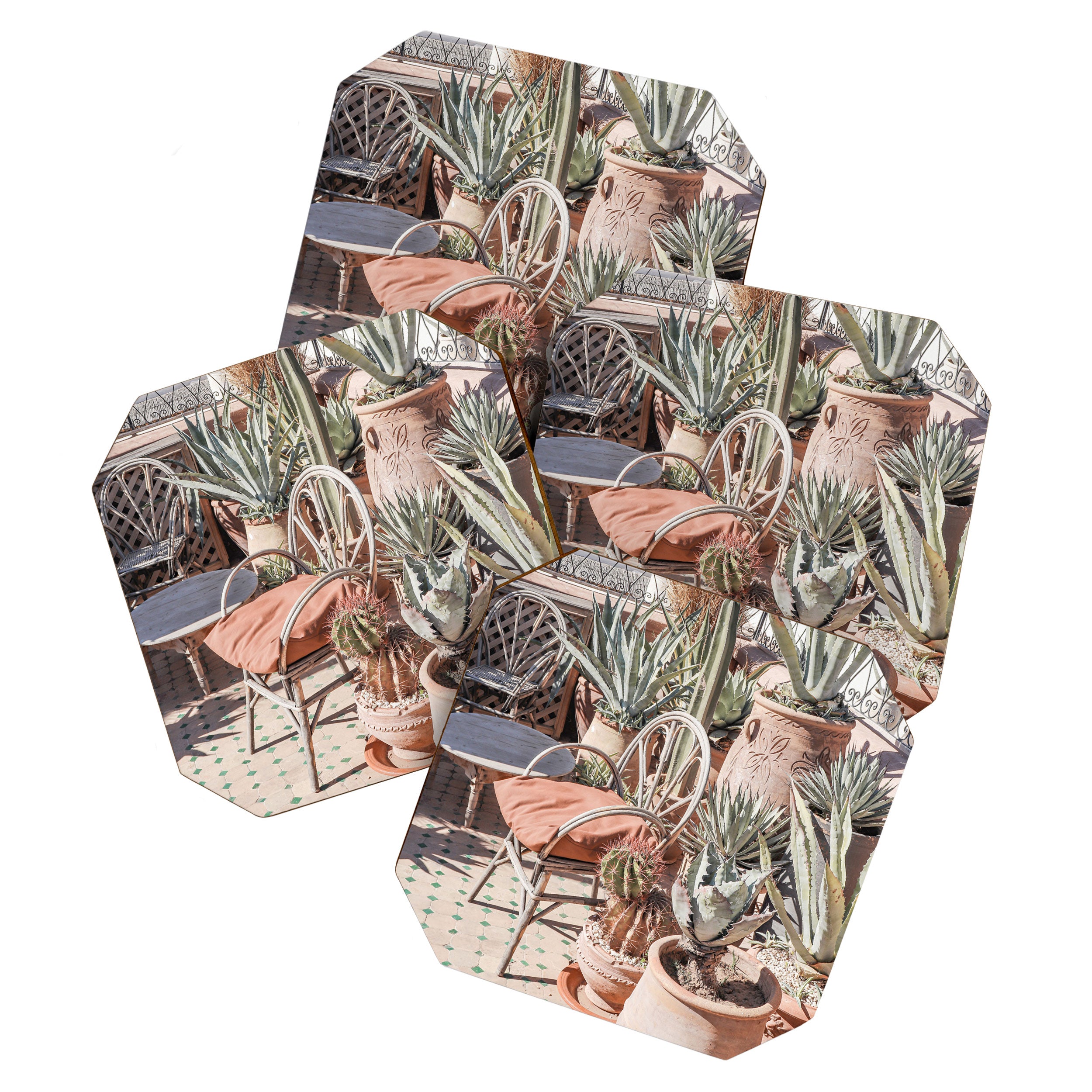 Tropical Rooftop In Marrakech Photo | Cactus Plants Boho Art Print | Morocco Travel Photography Coaster Gallery Image 1