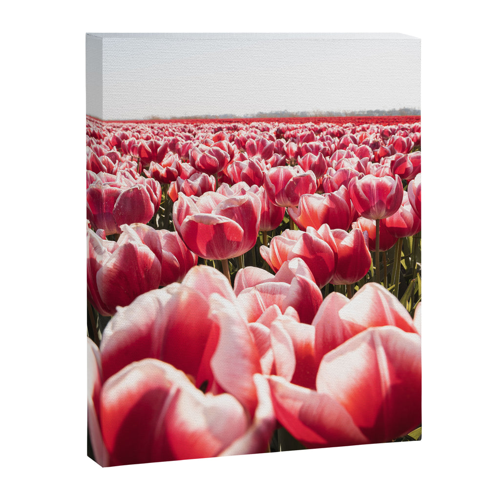 Tulip Field In Holland Floral Photo | Europe Travel Photography Red Flowers Spring Art Print Canvas Print Gallery Image 6