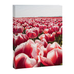 Tulip Field In Holland Floral Photo | Europe Travel Photography Red Flowers Spring Art Print Canvas Print Gallery Image 6