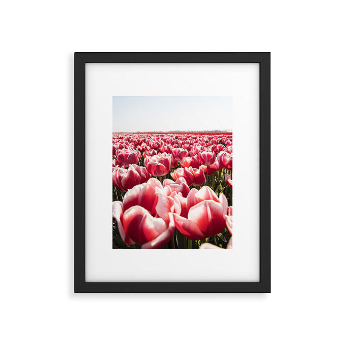 Tulip Field In Holland Floral Photo | Europe Travel Photography Red Flowers Spring Art Print Framed Art Print Gallery Image 1