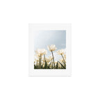 White Tulips In Spring In Holland Photo | Dutch Flowers Art Print |  Europe Travel Photography Art Print Gallery Image 1