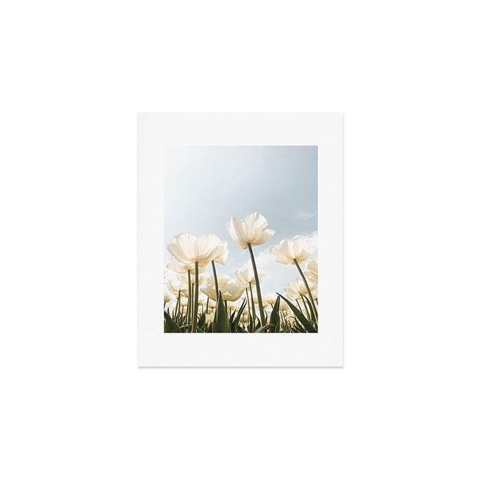 White Tulips In Spring In Holland Photo | Dutch Flowers Art Print |  Europe Travel Photography Art Print Gallery Image 1
