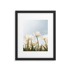 White Tulips In Spring In Holland Photo | Dutch Flowers Art Print |  Europe Travel Photography Framed Art Print Gallery Image 5