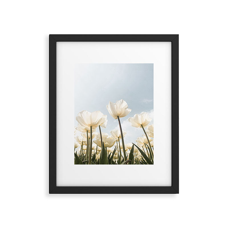 White Tulips In Spring In Holland Photo | Dutch Flowers Art Print |  Europe Travel Photography Framed Art Print Gallery Image 5