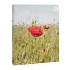 Wildflower Field | Poppy Flower in a Garden in Holland Art Print | Floral Summer Photography Canvas Print Gallery Image 6