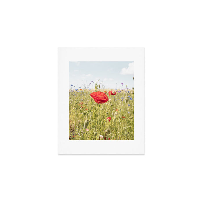 Wildflower Field | Poppy Flower in a Garden in Holland Art Print | Floral Summer Photography Art Print Gallery Image 1