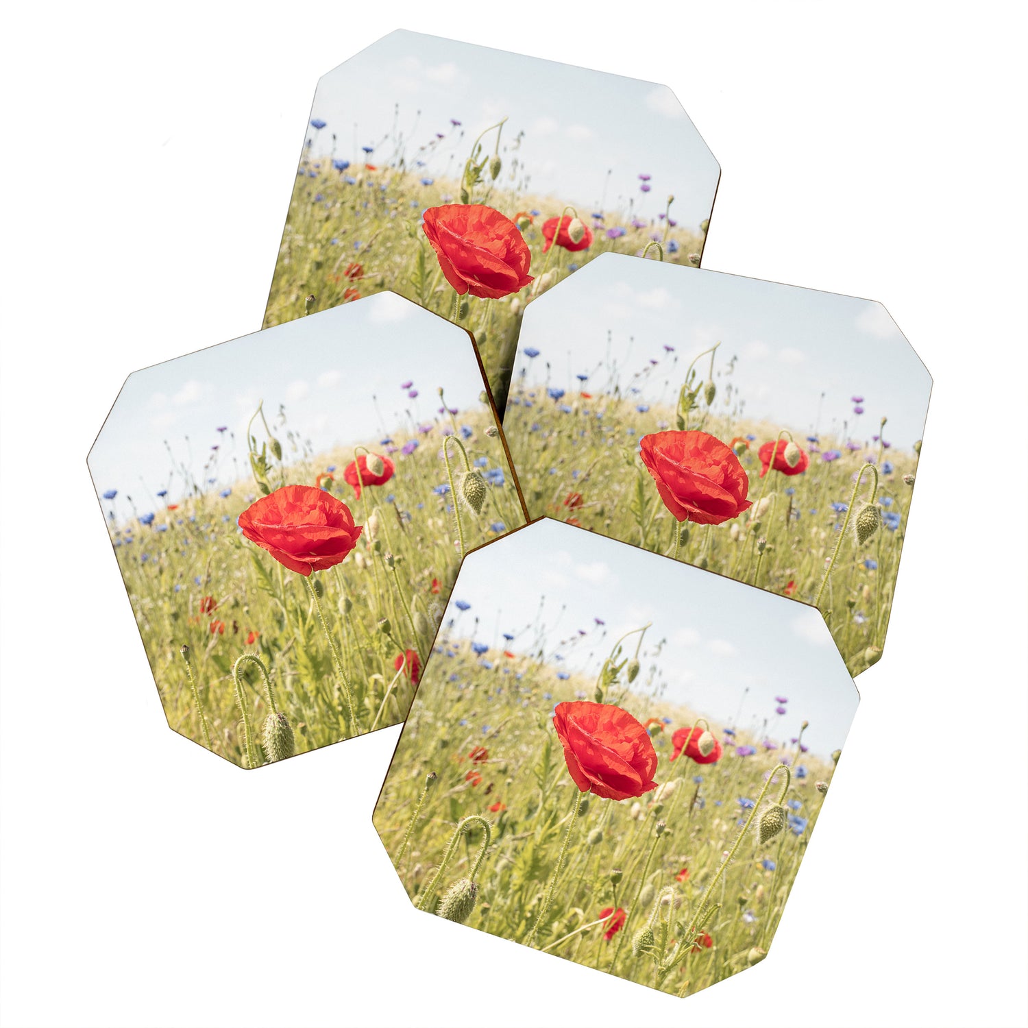 Wildflower Field | Poppy Flower in a Garden in Holland Art Print | Floral Summer Photography Coaster Gallery Image 1