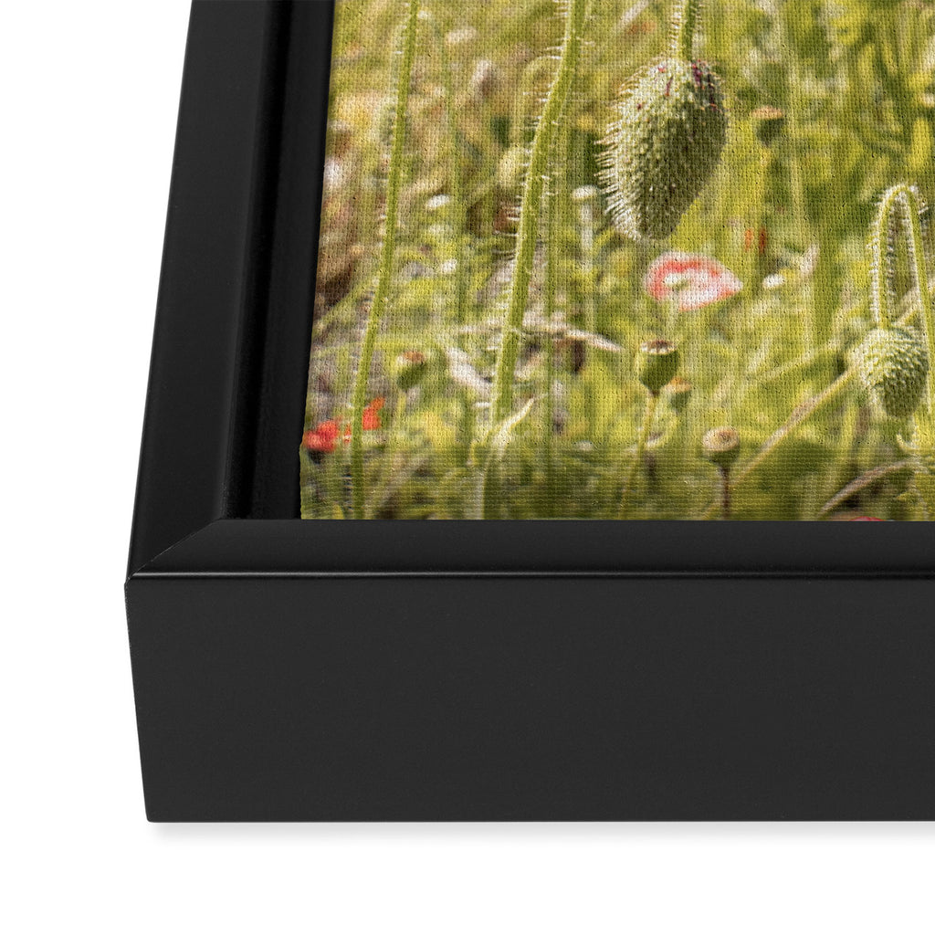 Wildflower Field | Poppy Flower in a Garden in Holland Art Print | Floral Summer Photography Framed Canvas Print Gallery Image 3
