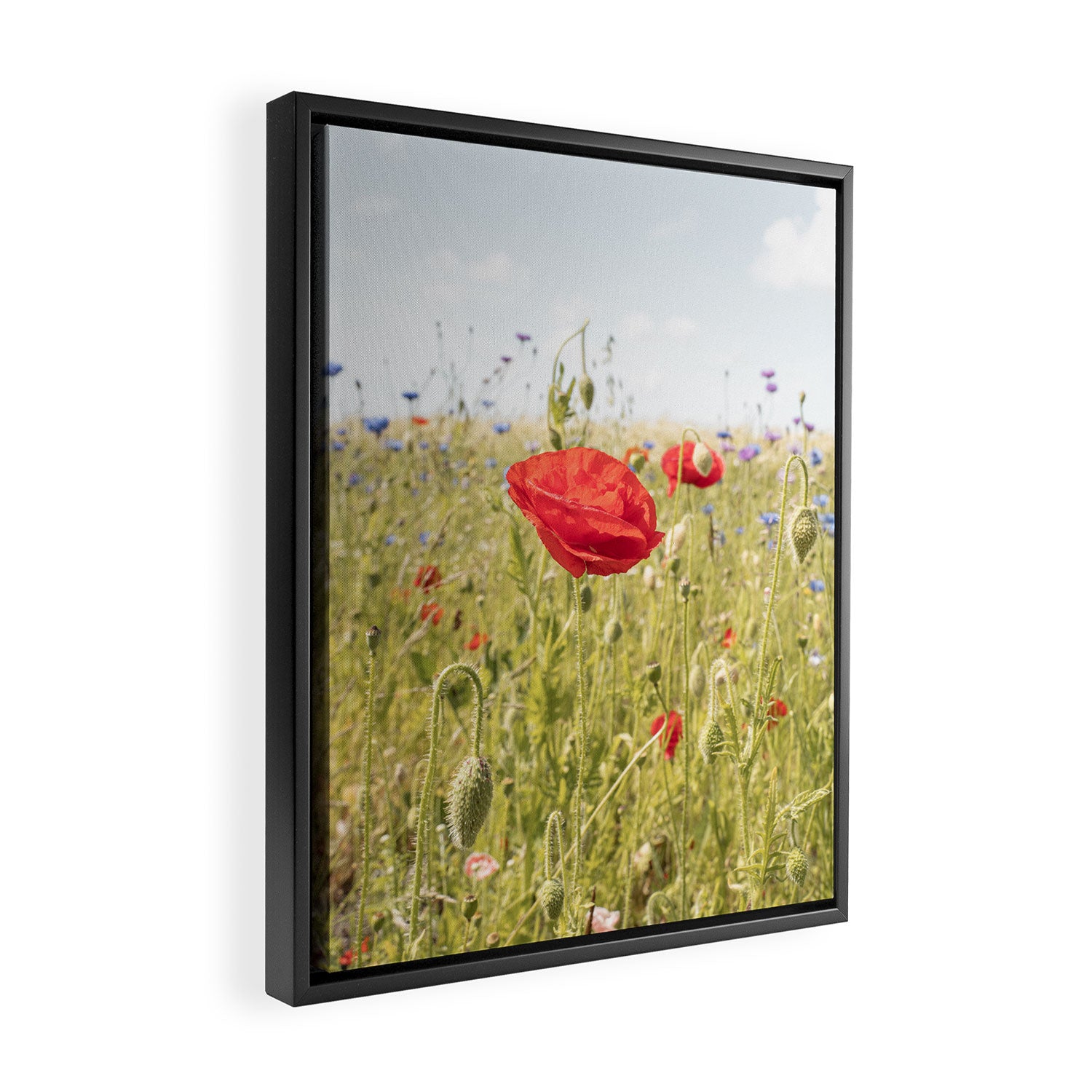 Wildflower Field | Poppy Flower in a Garden in Holland Art Print | Floral Summer Photography Framed Canvas Print Gallery Image 2