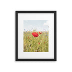 Wildflower Field | Poppy Flower in a Garden in Holland Art Print | Floral Summer Photography Framed Art Print Gallery Image 5
