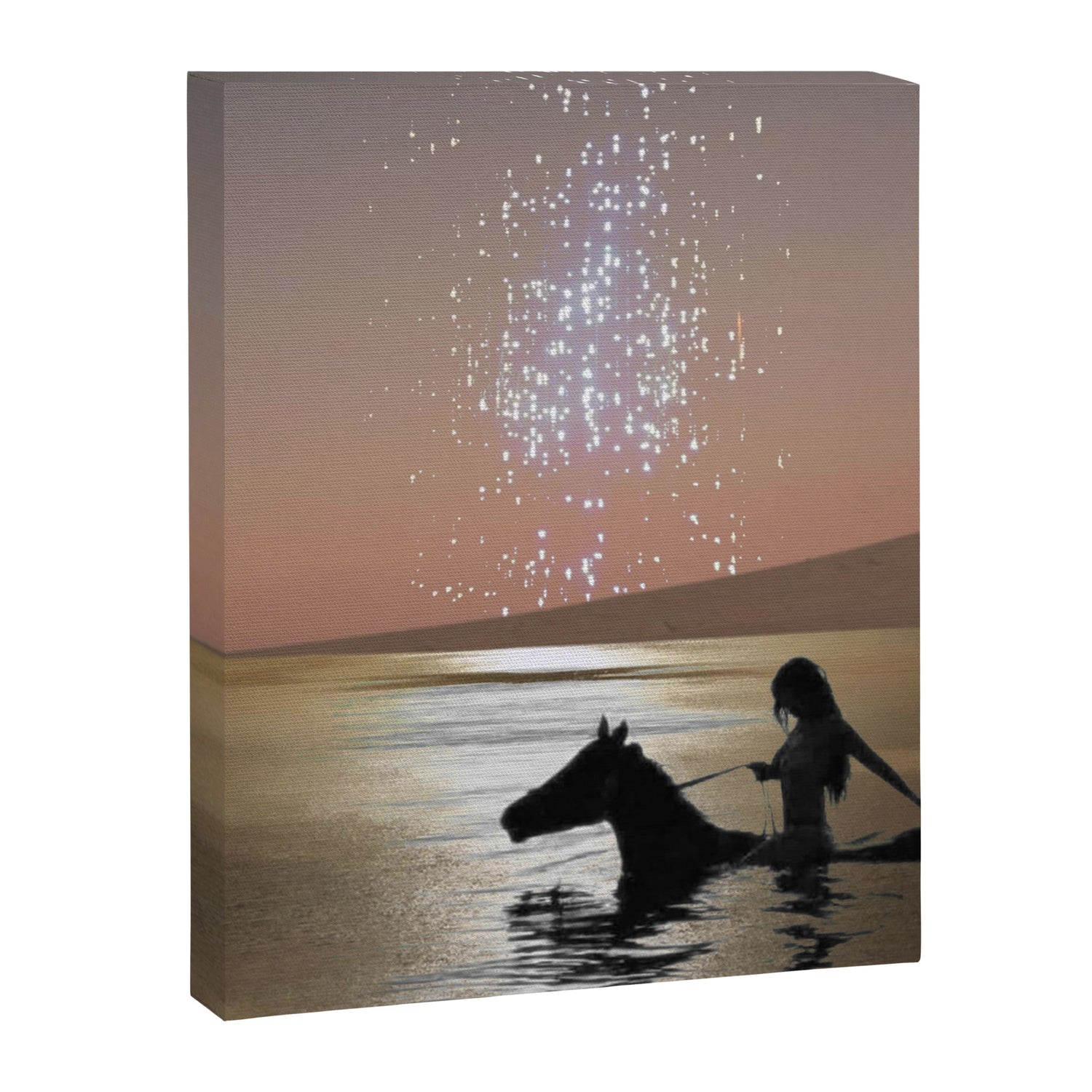 Somnium Canvas Print Gallery Image 6