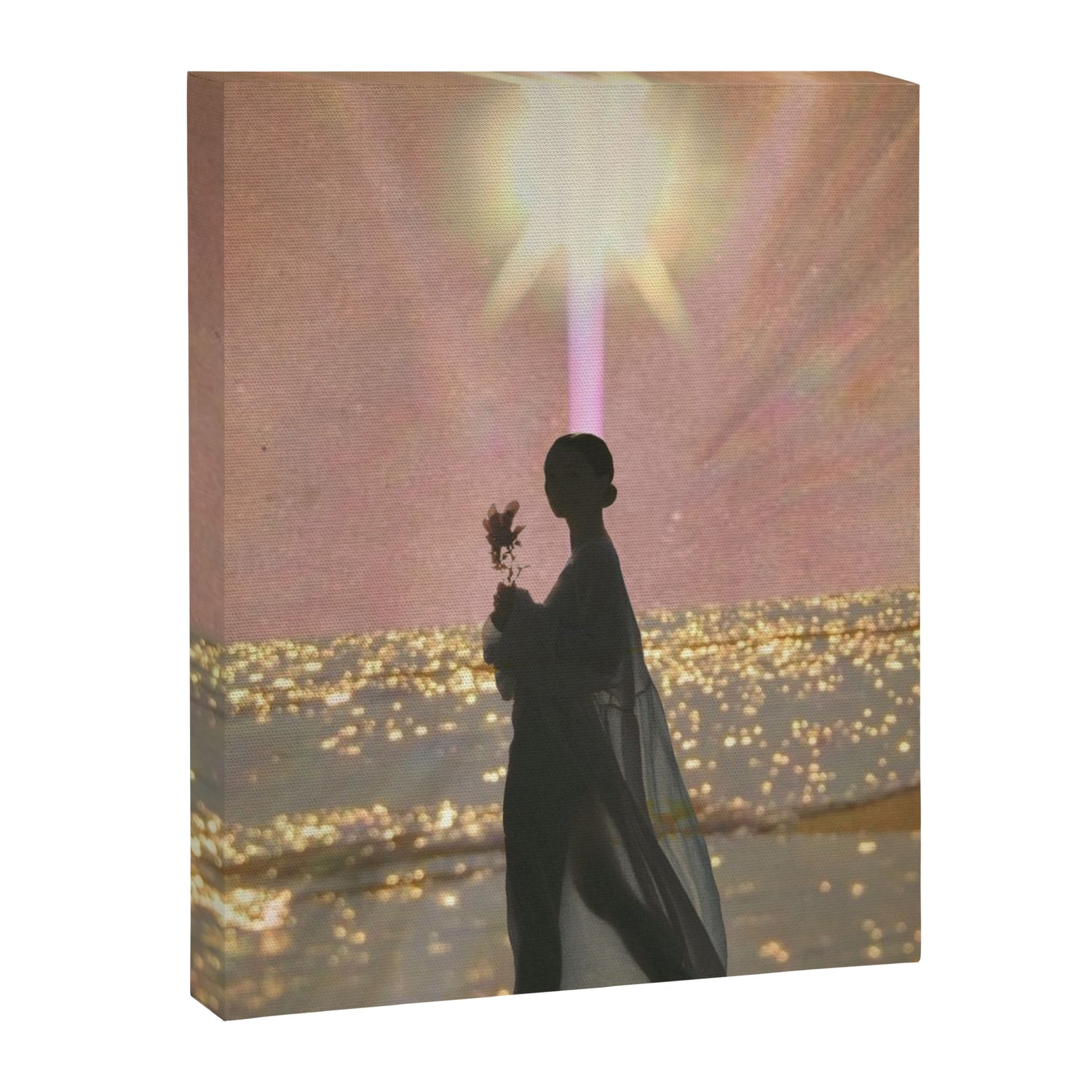 Veneris Mater Canvas Print Gallery Image 6