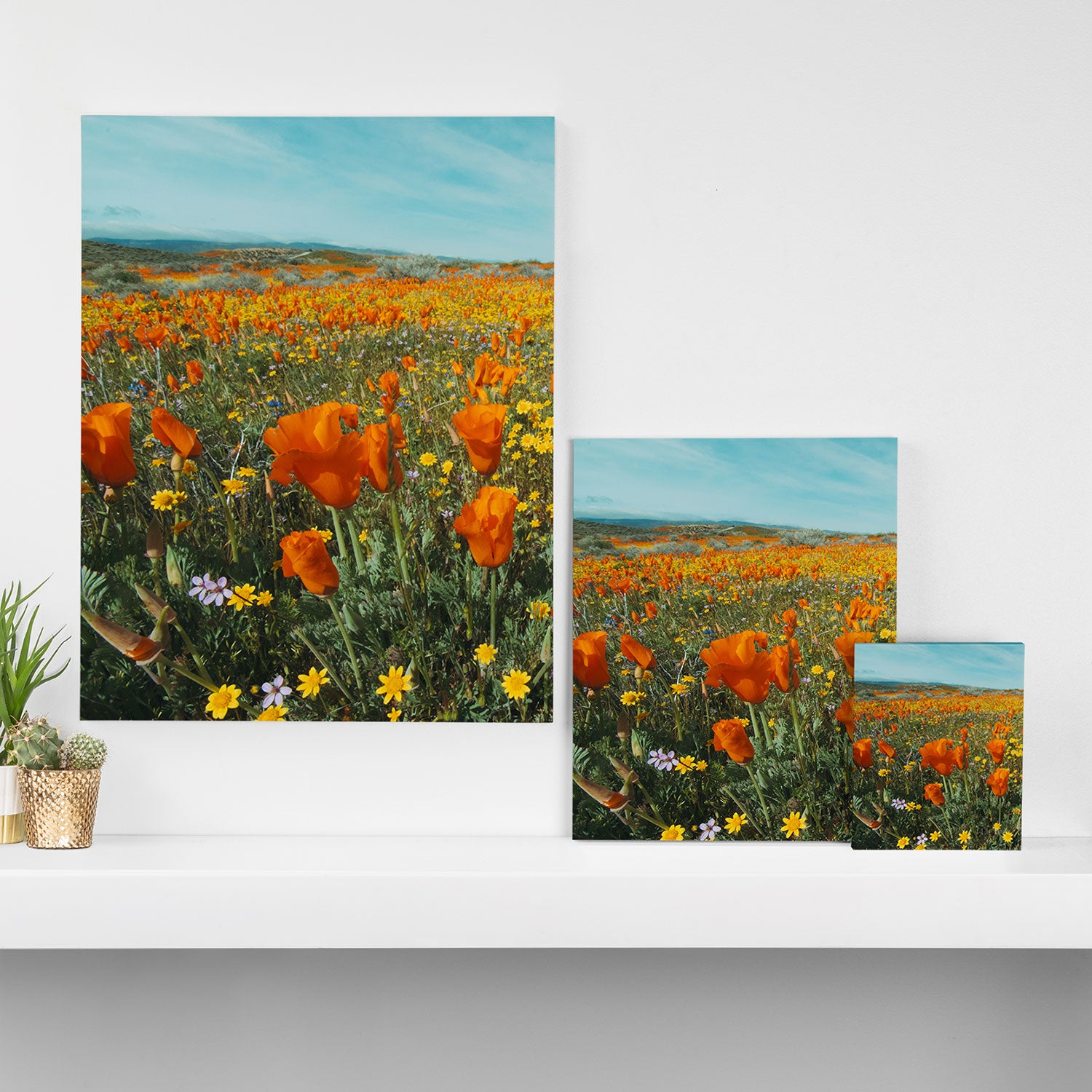 California Wildflower Poppy Superbloom Canvas Print Gallery Image 3