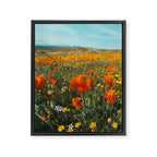 California Wildflower Poppy Superbloom Framed Canvas Print Gallery Image 3