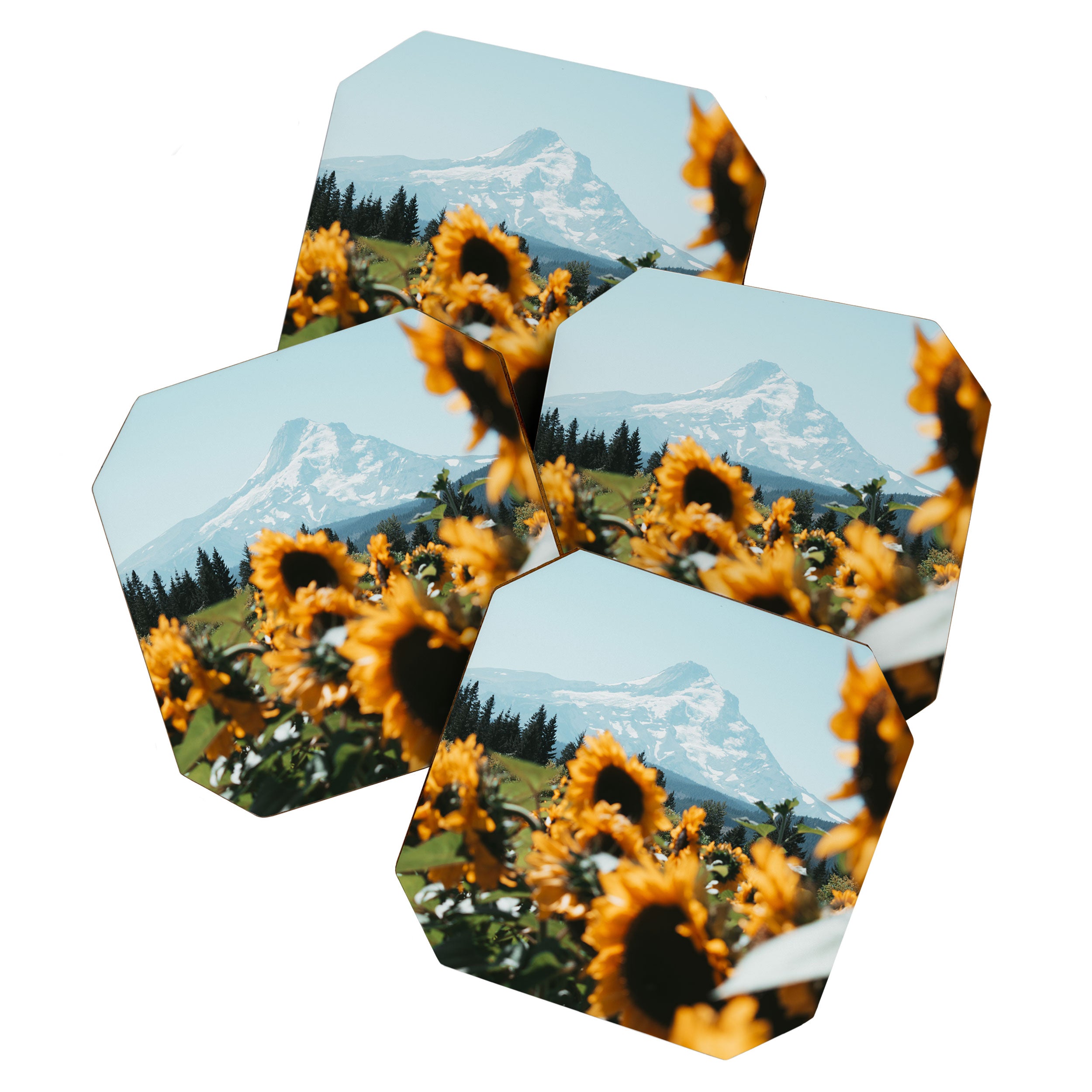 Mt. Hood Sunflower Field Coaster Gallery Image 1