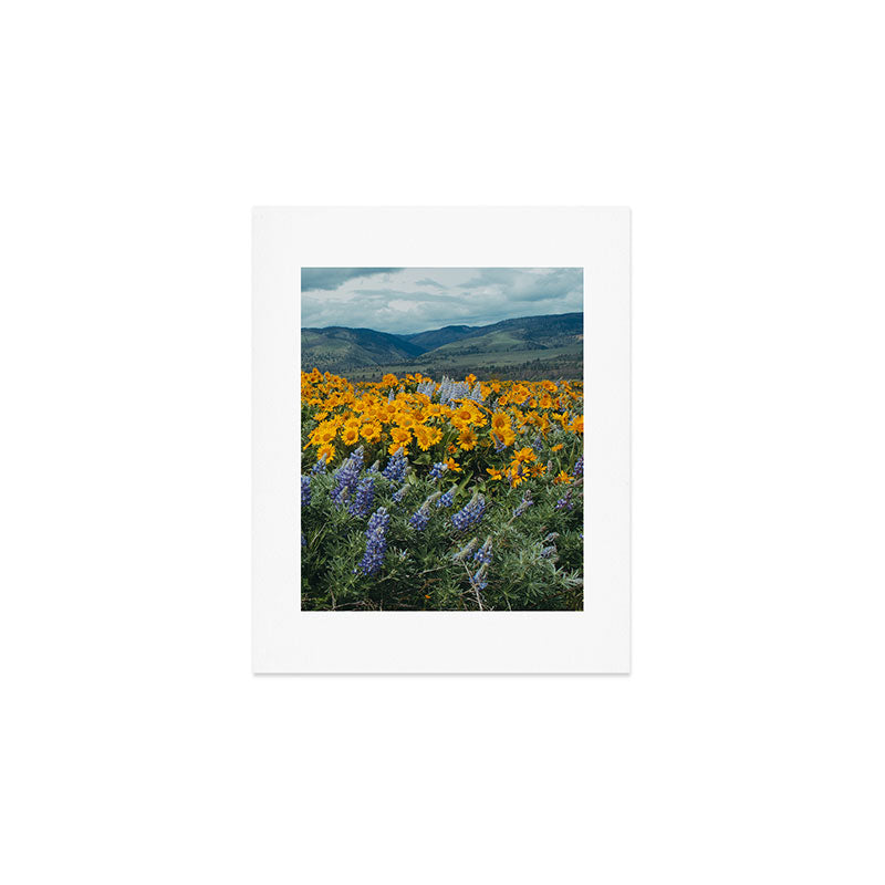 Oregon Spring Wildflower Hillside Art Print Gallery Image 1