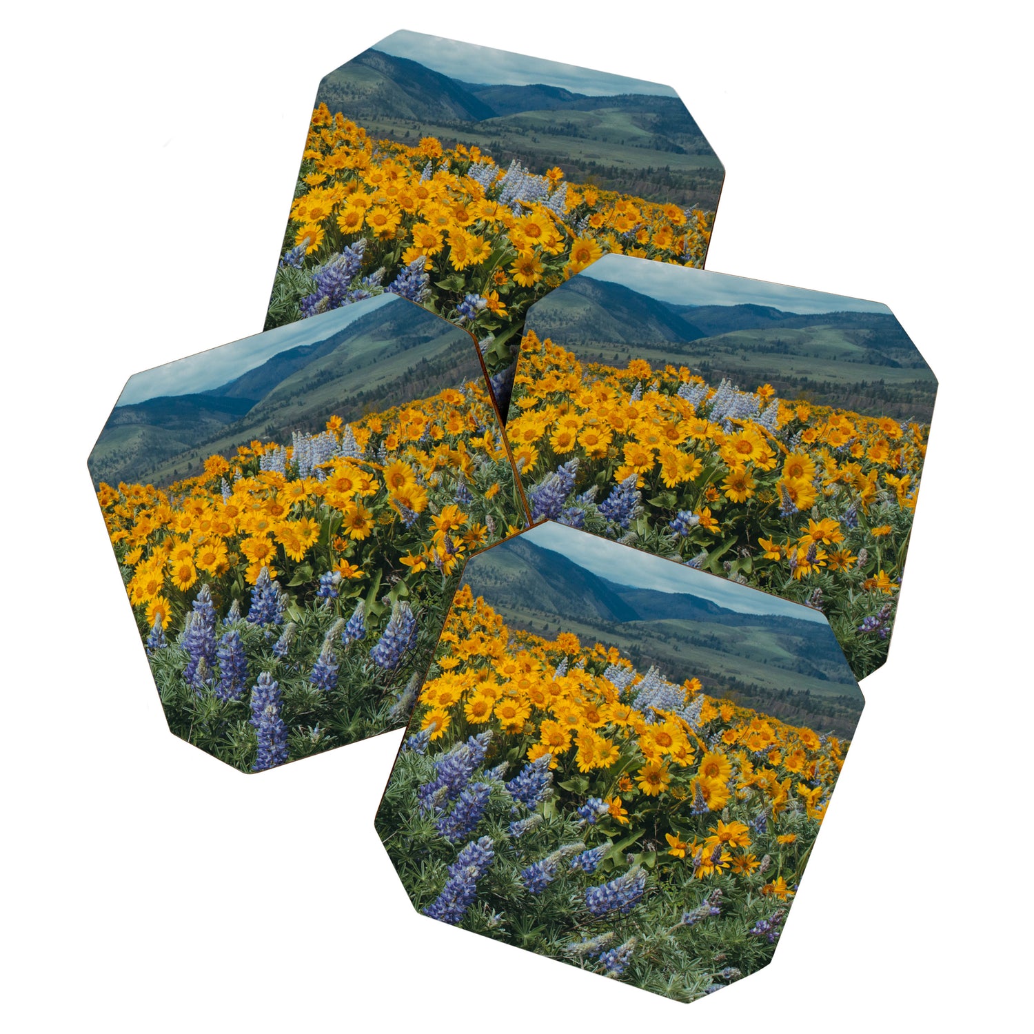 Oregon Spring Wildflower Hillside Coaster Gallery Image 1