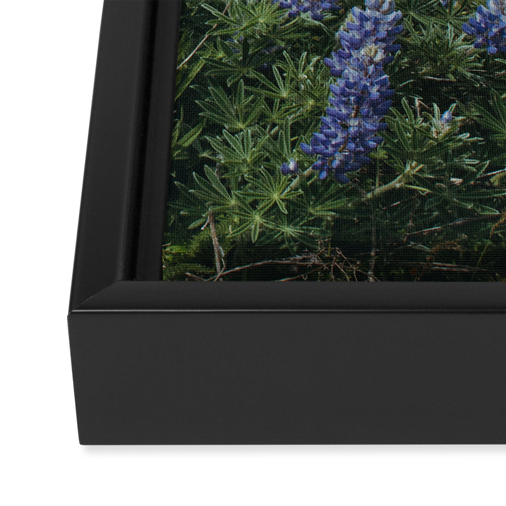 Oregon Spring Wildflower Hillside Framed Canvas Print Gallery Image 3
