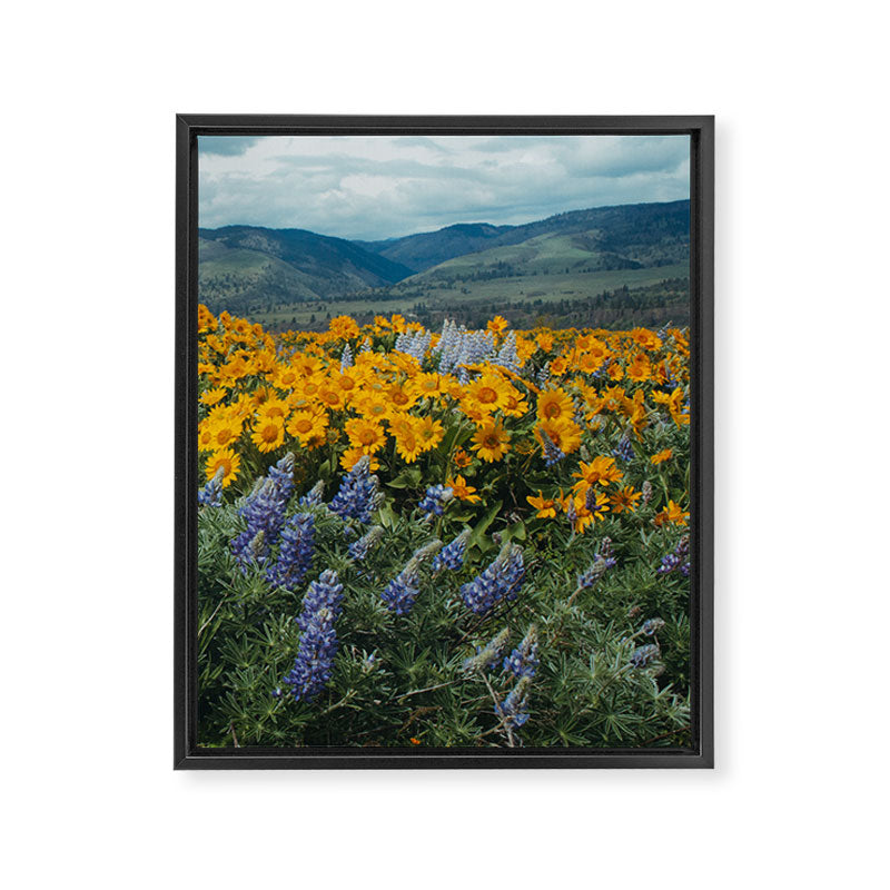 Oregon Spring Wildflower Hillside Framed Canvas Print Gallery Image 6