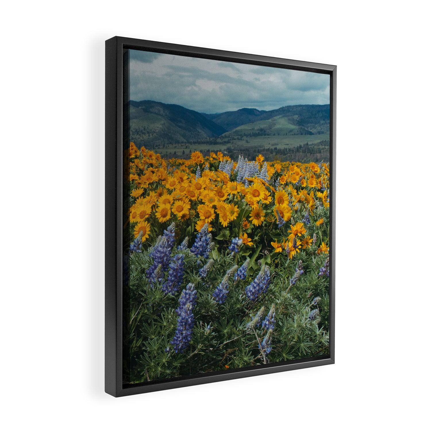 Oregon Spring Wildflower Hillside Framed Canvas Print Gallery Image 2