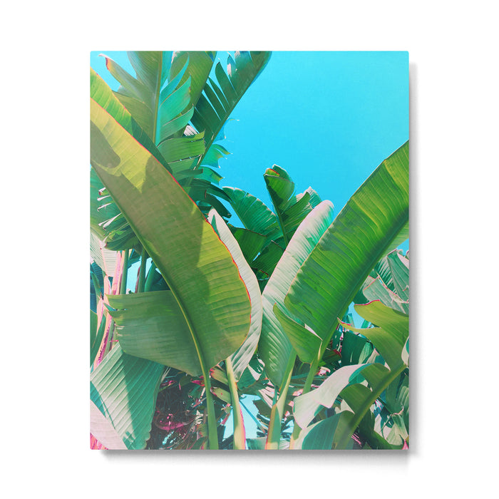 Pop Art Banana Leaf Metal Print Gallery Image 1