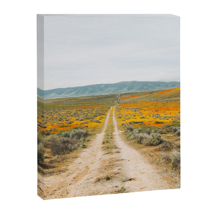 Road Less Traveled Canvas Print Gallery Image 1