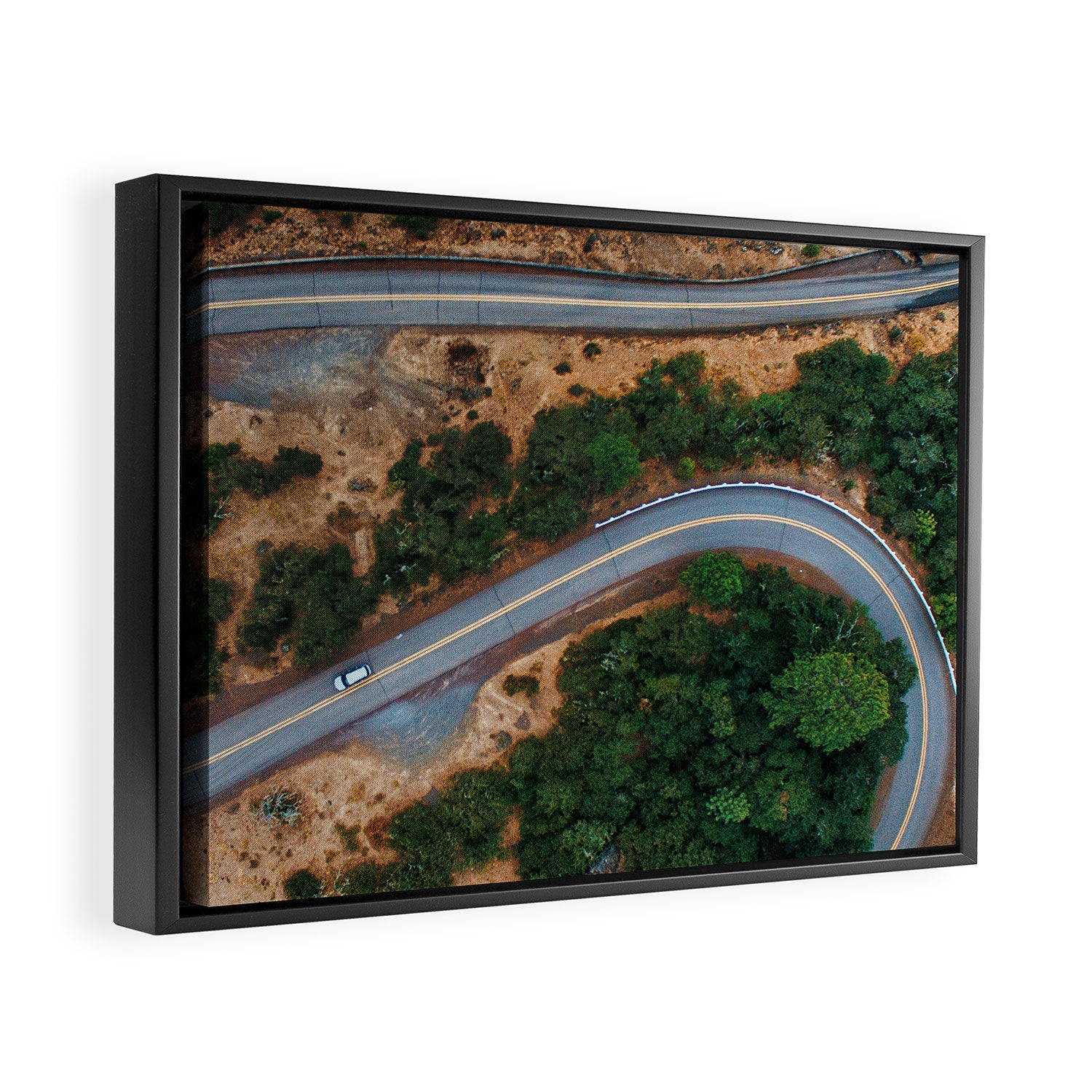 Rowena Crest Framed Canvas Print Gallery Image 2