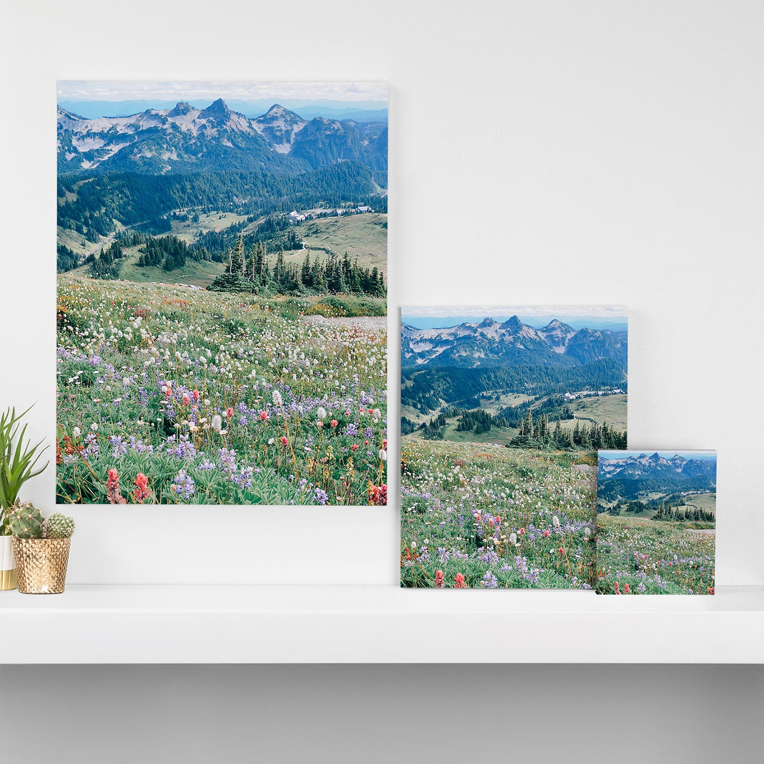 Wildflower Meadow Canvas Print Gallery Image 3