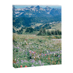 Wildflower Meadow Canvas Print Gallery Image 6