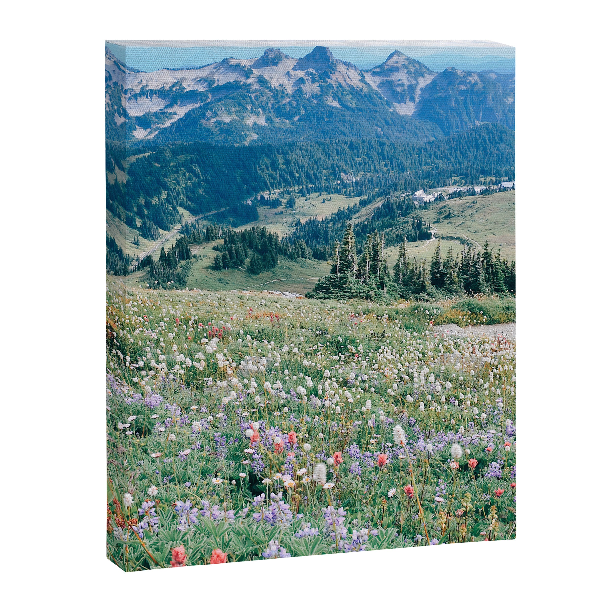 Wildflower Meadow Canvas Print Gallery Image 6