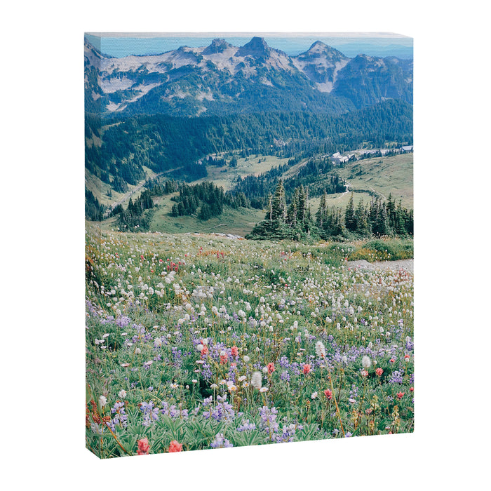 Wildflower Meadow Canvas Print Gallery Image 1