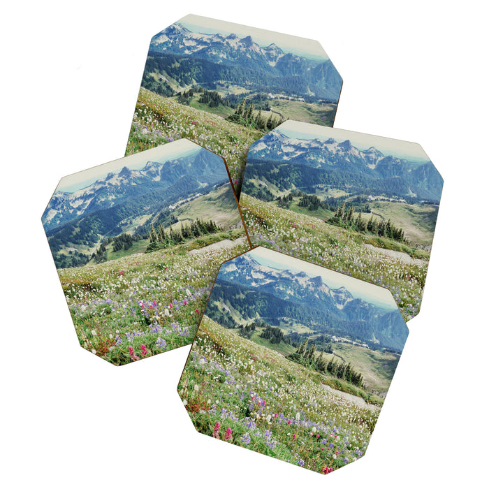 Wildflower Meadow Coaster Gallery Image 1