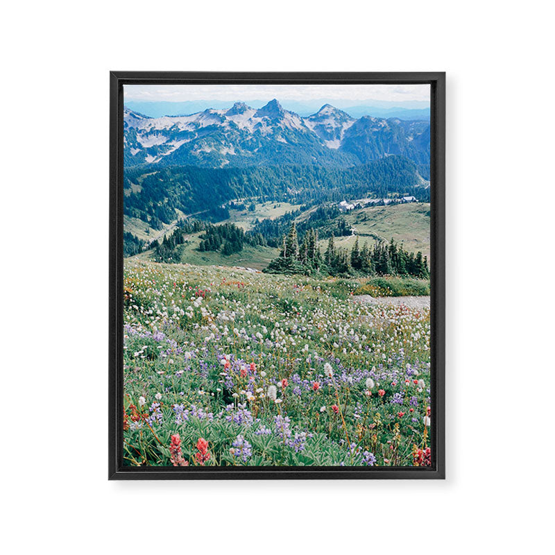 Wildflower Meadow Framed Canvas Print Gallery Image 3