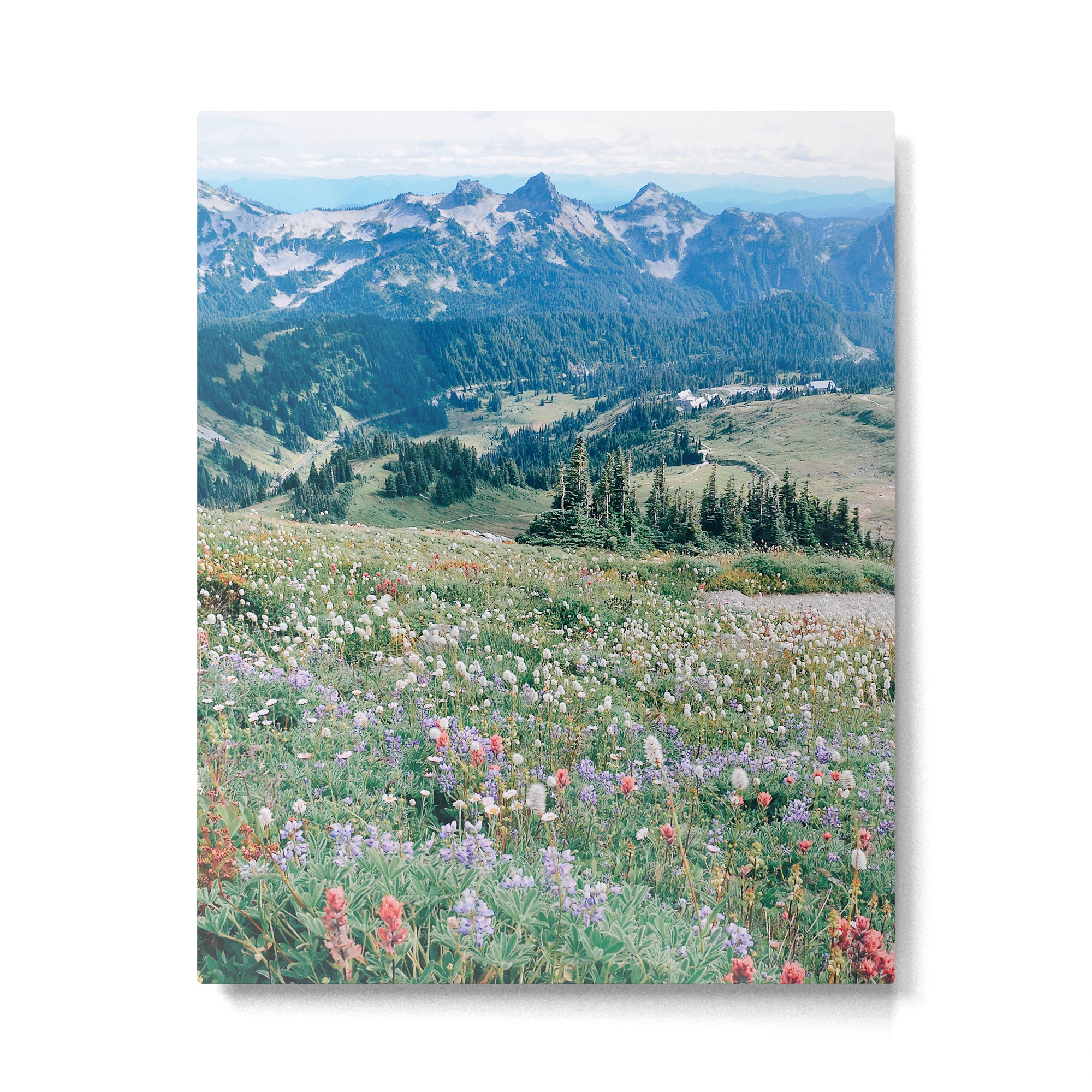 Wildflower Meadow Metal Print Gallery Image 4