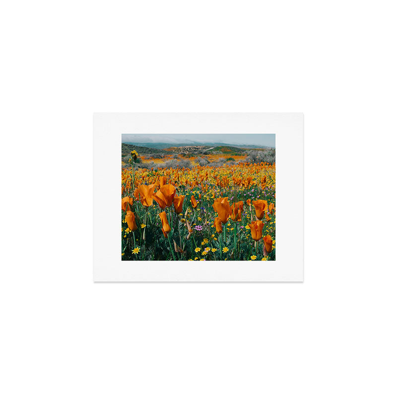 Wildflower Poppy Superbloom Art Print Gallery Image 1