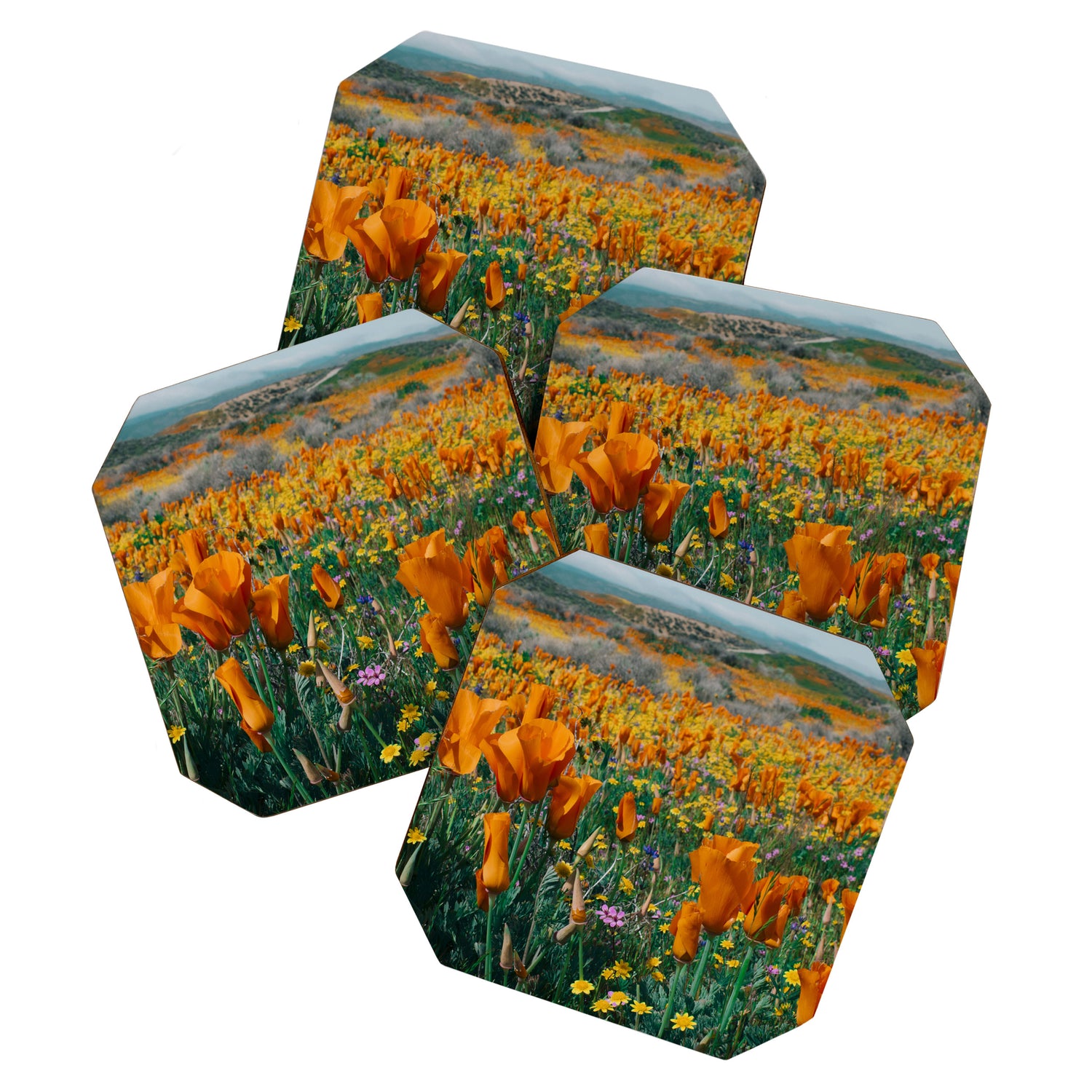 Wildflower Poppy Superbloom Coaster Gallery Image 1