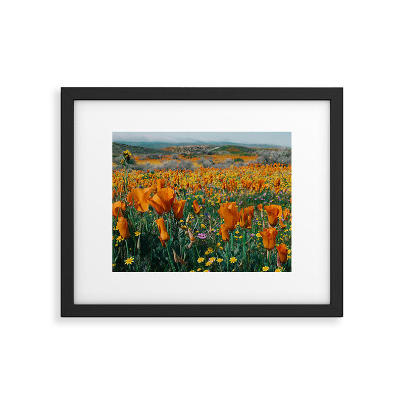 Wildflower Poppy Superbloom Framed Art Print Gallery Image 5