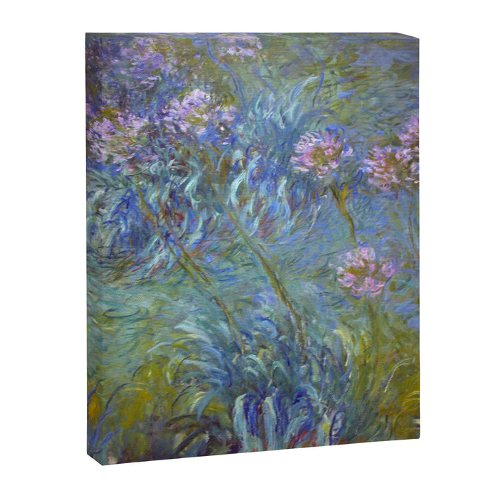 Agapanthus by Claude Monet Canvas Print Gallery Image 1