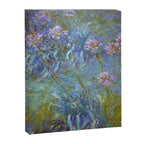 Agapanthus by Claude Monet Canvas Print Gallery Image 8
