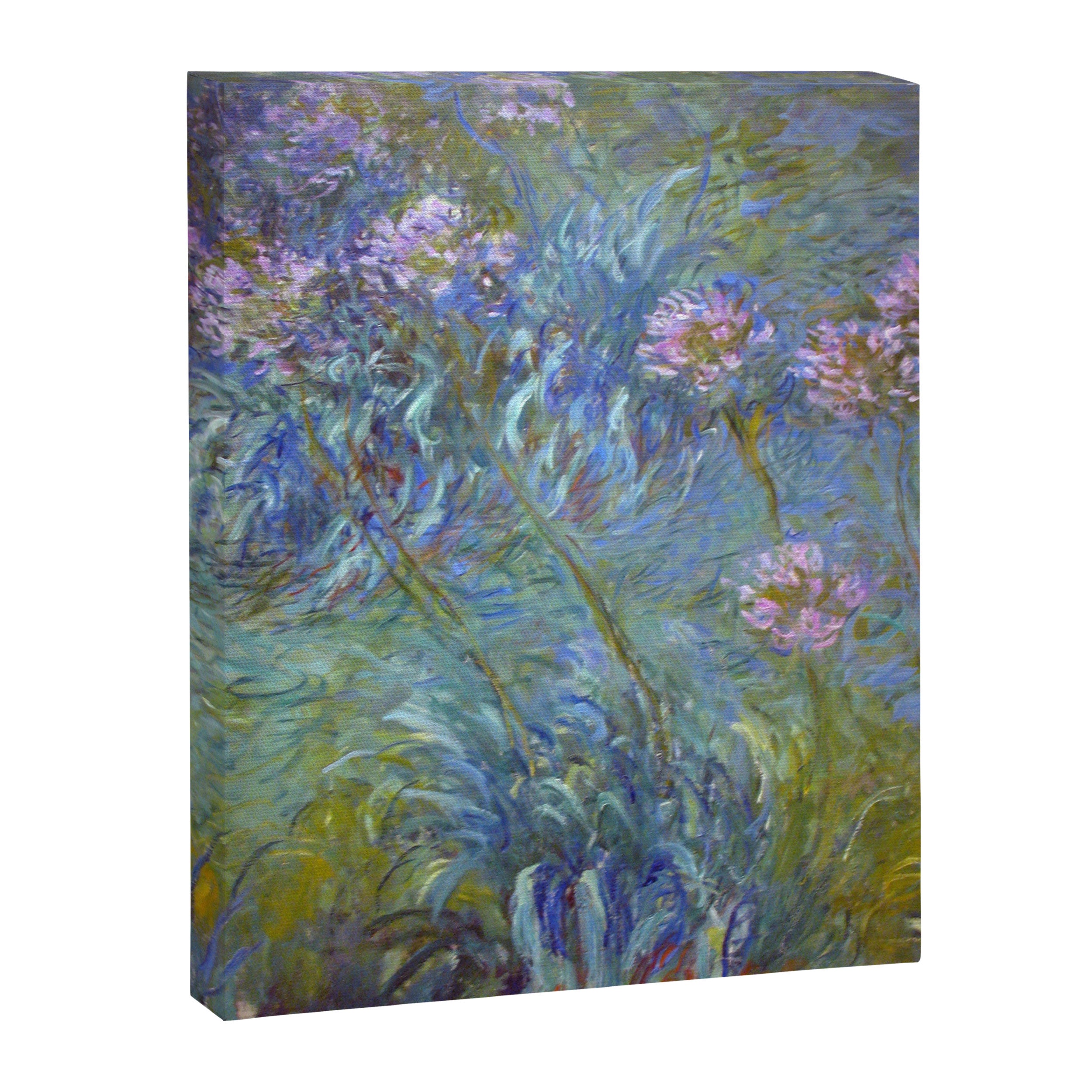 Agapanthus by Claude Monet Canvas Print Gallery Image 8