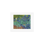 Irises, Vincent Van Gogh Art Print Gallery Image 1
