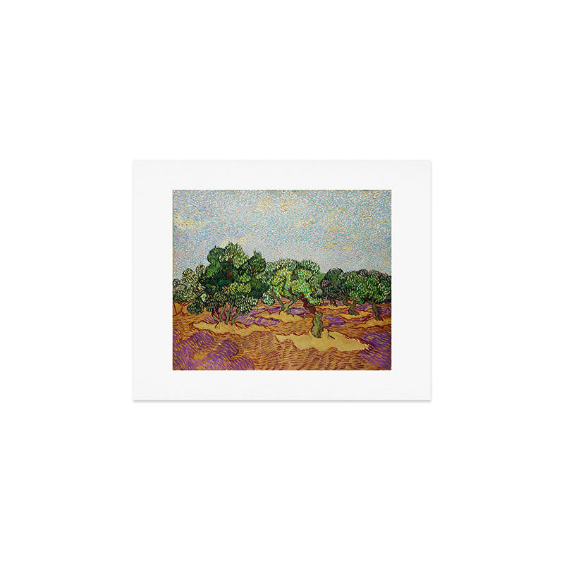Olive Trees by Vincent Van Gogh Art Print Gallery Image 1
