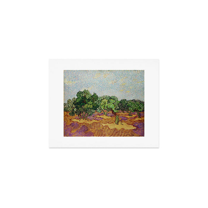 Olive Trees by Vincent Van Gogh Art Print Gallery Image 1