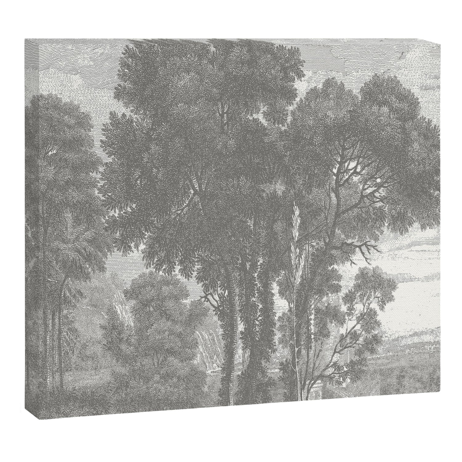 Beaux Arbres (Beautiful Trees), Warm Gray on Vanilla Snow Canvas Print Gallery Image 12