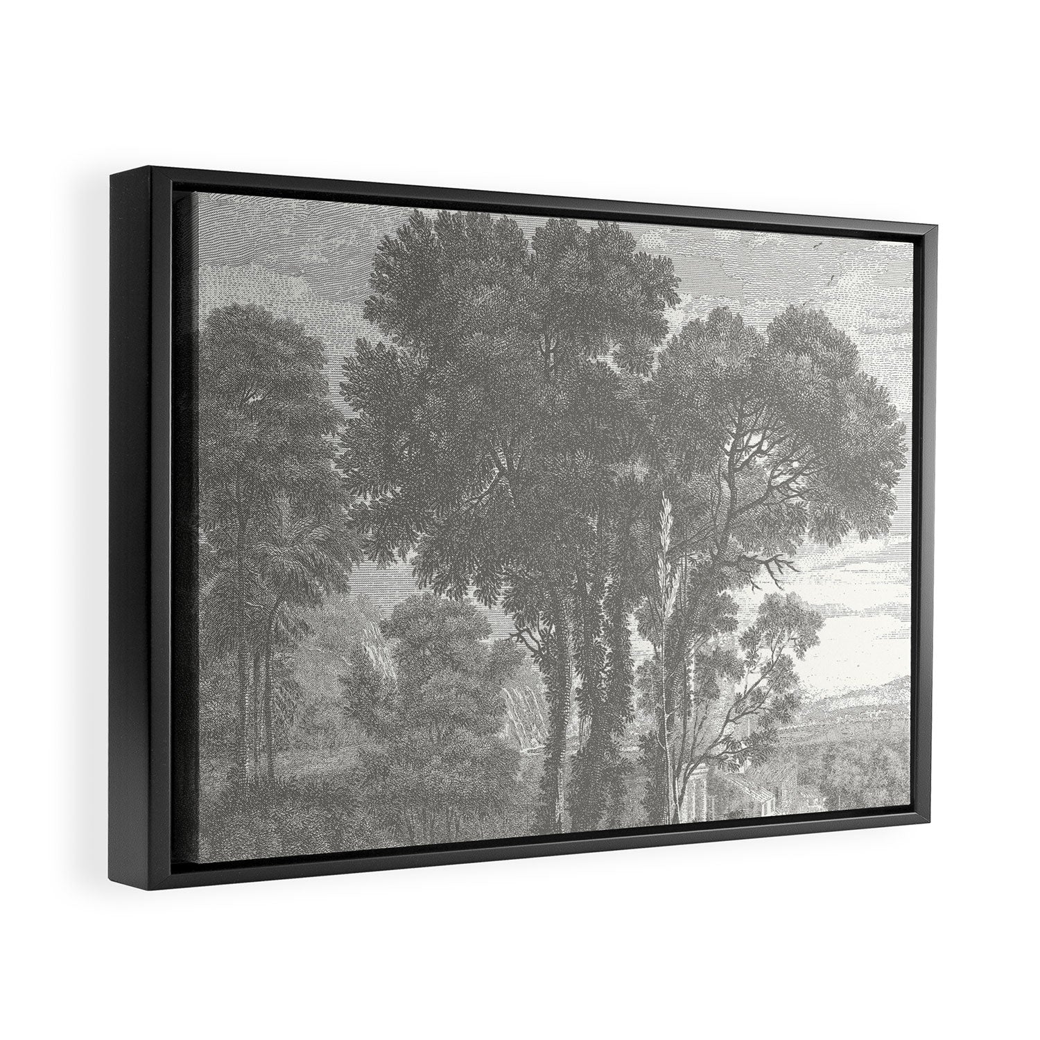 Beaux Arbres (Beautiful Trees), Warm Gray on Vanilla Snow Framed Canvas Print Gallery Image 6